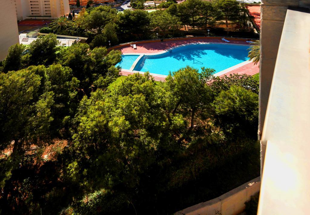 Apartment Muchosol *